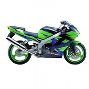 2002-2003 Kawasaki ZX9R Fairings Canada