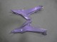 2020-2026 Kawasaki Ninja 650 EX650 Motorcycle Fairings - Chameleon Grey Dazz Pearl Purple Canada