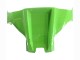 2021-2025 Kawasaki ZX10R Motorcycle Fairings - Green Black Red Canada