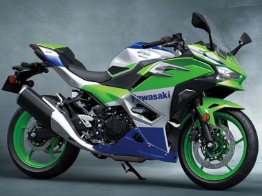 2024-2025 Kawasaki Ninja 500 EX500R Motorcycle Fairings - Silver Green Blue Canada