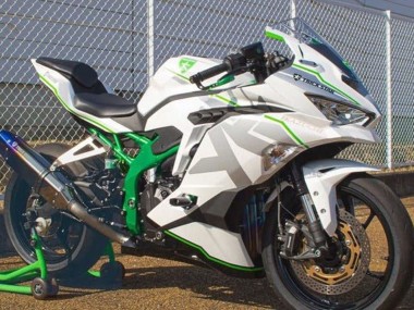 2019-2026 Kawasaki ZX4R ZX-4RR Motorcycle Fairings - White Silver Green Canada