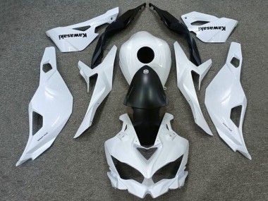 2019-2026 Kawasaki ZX4R ZX-4RR Motorcycle Fairings - White Matte Black Canada