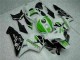 Green 2005-2006 Honda CBR600RR Motorcycle Fairing Green 2005-2006 Honda CBR600RR Motorcycle Fairing