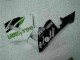 Green 2005-2006 Honda CBR600RR Motorcycle Fairing Green 2005-2006 Honda CBR600RR Motorcycle Fairing