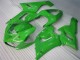Green 2005-2006 Kawasaki ZX6R Motorcycle Fairing