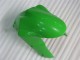 Green 2005-2006 Kawasaki ZX6R Motorcycle Fairing