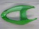Green 2005-2006 Kawasaki ZX6R Motorcycle Fairing
