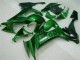 Green Flame 2008-2010 Kawasaki ZX10R Motorcycle Fairings
